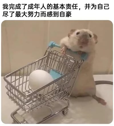 这是一张静态拍摄的萌宠趣味图，画面主体是一只浅色的宠物鼠，它直立身体，两只前爪搭在带有蓝色把手的迷你金属购物车的扶手上，仿佛正在推着购物车前行，购物车内放置着一颗白色的鸡蛋。图片上方配有拟人化的文字：“我完成了成年人的基本责任，并为自己尽了最大努力而感到自豪”，将小老鼠推鸡蛋的简单行为类比为成年人完成采购、承担生活责任的过程，用可爱的萌宠画面调侃成年人将日常琐事视为重大任务的心态，既充满搞笑感，又精准戳中成年人的生活共鸣，带有治愈和自嘲的情绪。
