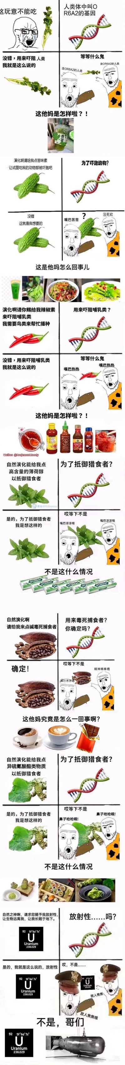 这是一组竖版连环漫画，通过多个图文结合的 panels 探讨食物喜好与DNA的关系。漫画展示了不同食物（薄荷、辣椒、酒精、巧克力、咖啡等）与DNA双螺旋结构的幽默关联，每个panel包含食物图片、DNA图示和卡通人物对话，以轻松诙谐的方式暗示食物偏好可能与遗传因素有关。