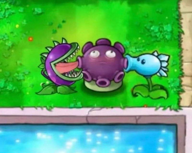 忧郁菇