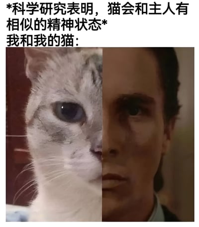 图片上方配有文字“*科学研究表明，猫会和主人有相似的精神状态*我和我的猫：”，下方是一张左右拼接的图片，左侧是一只表情严肃的白猫面部特写，右侧是一位表情同样严肃的男性面部特写，通过对比幽默地展现猫和主人精神状态相似的主题。