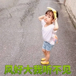 权律二风好大我听不见表情包
