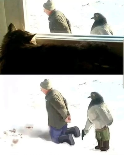 上图中一只黑猫趴在窗边，专注地向外望去，窗外雪地里站着一位戴帽子、穿绿色外套的老人，旁边有一只鸽子。下图为改编版本：鸽子被拟人化处理，双腿站立并穿着绿色裤子，手持一把枪指向老人；老人则双手背在身后，单膝跪在雪地上，表情惊恐。原图的平静日常场景与改编后的荒诞“犯罪现场”形成强烈反差，营造出幽默搞笑的效果。