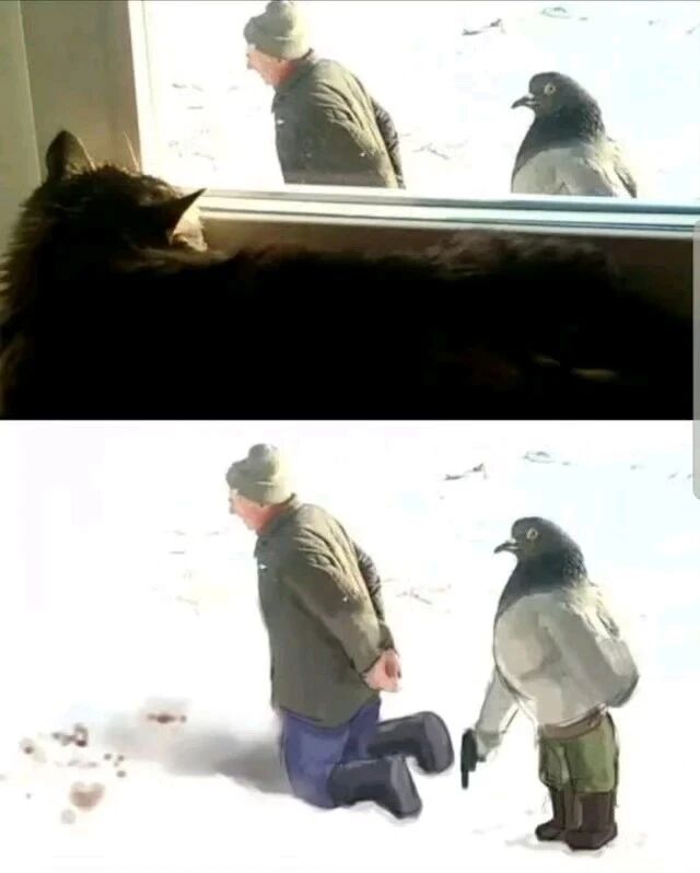 老人