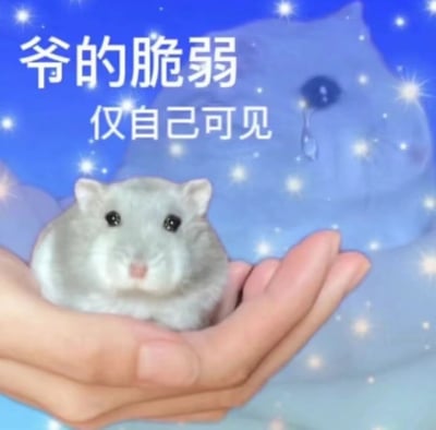 图片中一只手温柔捧着一只灰色小仓鼠，仓鼠表情呆萌，眼神无辜。背景为蓝色渐变星空，点缀着闪烁的星星，右上角有一个巨大的悲伤猫脸形象，眼角挂着一滴泪珠。图片上方配有白色文字“爷的脆弱 仅自己可见”，整体营造出一种反差感：可爱的仓鼠与悲伤的猫脸背景形成对比，文字则直白表达了内心脆弱情绪不被他人察觉的自嘲式幽默，反映了现代人隐藏真实情感的普遍状态。