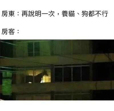 这是一张图文结合的搞笑网络梗图，图中分为上下两部分，上方是房东与房客的文字对话内容，房东严肃地向房客强调租房期间饲养猫、狗都是不被允许的；下方是一张夜晚居民楼的实拍照片，其中一个亮着灯的窗户内，能看到一个类似马的动物的轮廓，这是房客对房东禁令的回应。该梗图通过夸张的方式，利用房东禁令只针对猫和狗的漏洞，让房客选择饲养马，制造出荒诞的反差感，以此来调侃生活中那些只明确禁止部分事物、留下规则漏洞的场景，充满了幽默趣味。
