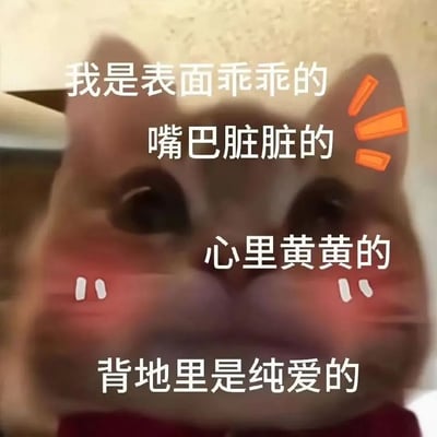 这是一张搞笑猫咪表情包，展示了一只橘猫的特写镜头。猫咪脸上被添加了腮红特效和橙色感叹号装饰，配合文字"我是表面乖乖的 嘴巴脏脏的 心里黄黄的 背地里是纯爱的"，形成了反差萌的幽默效果。图片通过猫咪无辜的表情与文字内容的矛盾，制造出喜剧效果。