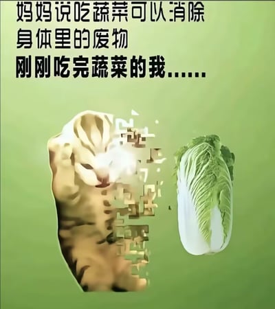 整张图为浅绿色背景的搞笑梗图，顶部有黑色文字配文“妈妈说吃蔬菜可以消除身体里的废物 刚刚吃完蔬菜的我……”，下方左侧是一只橘猫的图像，橘猫从靠近右侧的位置开始像素化破碎消散，右侧放置了一颗完整的白菜，用夸张的玩梗逻辑，自嘲自己就是身体里的“废物”，吃完蔬菜后就要被消除，笑点诙谐有趣，符合网络吐槽的内容风格。