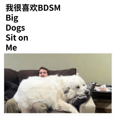 图片上方是黑色文字“我很喜欢BDSM”，下方英文解释为“Big Dogs Sit on Me”，通过首字母缩写玩文字游戏。图片主体是一只大型白色狗狗趴在沙发上，将一名男子的上半身完全覆盖，只露出男子的头部，男子面带微笑。