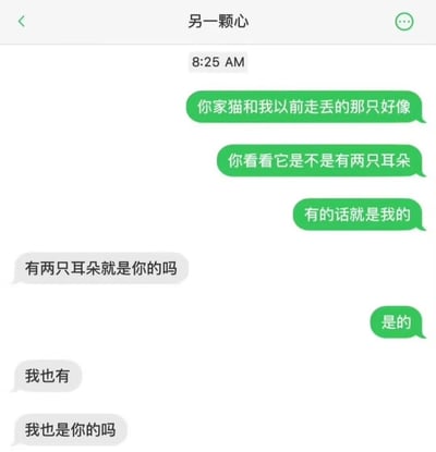 这是一张聊天记录截图，展示了一段关于猫咪归属的幽默对话。一方声称对方的猫和自己以前走丢的很像，并提出"有两只耳朵就是我的猫"的荒诞理由，另一方则机智反击"我也有两只耳朵，难道我也是你的吗"，形成了搞笑的对话效果。