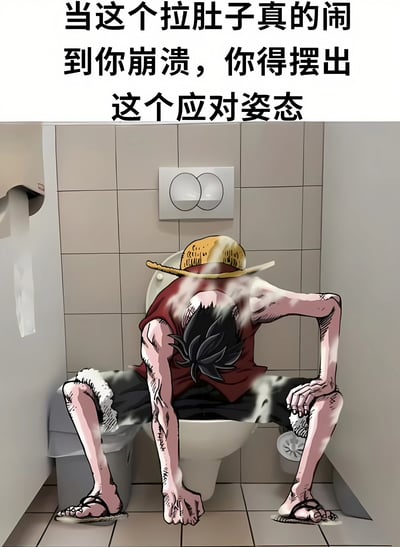 这是一张搞笑表情包，将《海贼王》主角蒙奇·D·路飞的经典战斗姿态幽默地改编为应对拉肚子的场景。图中路飞戴着标志性草帽，穿着红色背心和黑色短裤，正痛苦地蹲在马桶上，身体前倾，双手撑地，周围有表现不适的蒸汽效果。上方配有文字：'当这个拉肚子真的闹到你崩溃，你得摆出这个应对姿态'，通过将动漫角色置于日常尴尬情境中制造喜剧效果。