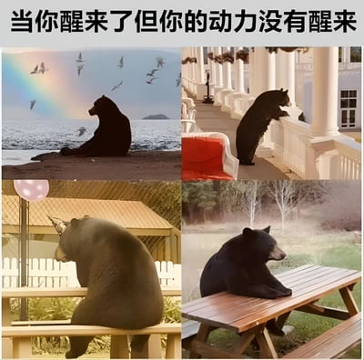 图片由四张真实熊的照片拼接而成，上方配有文字“当你醒来了但你的动力没有醒来”。第一张图中，一只熊独自坐在海边礁石上，背景有彩虹和飞鸟，却扭头望向别处，显得毫无兴致；第二张图里，熊趴在白色门廊的栏杆上，身体前倾，仿佛没力气站直；第三张图中，戴着派对帽的熊低着头坐在长椅上，周围有气球却毫无喜悦；第四张图中，熊直接趴在户外野餐桌上，前爪垂下，尽显困倦。整体通过熊的慵懒姿态，幽默展现了人醒来后身体醒了但精神和动力还未“开机”的状态，非常贴合当代年轻人的日常写照。