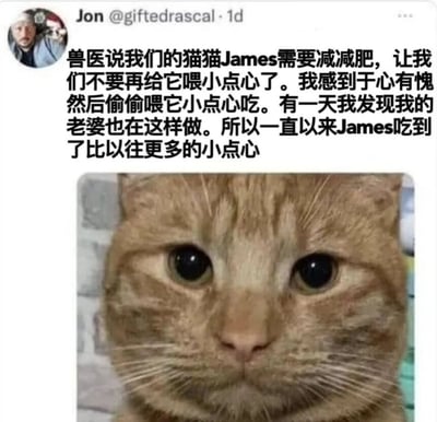 这是一张社交媒体截图，内容是用户Jon分享的关于他家猫咪James减肥的趣事。兽医建议给James减肥，让主人不要喂小点心，但Jon和妻子都因为于心有愧而偷偷喂食，结果导致James吃到了比以前更多的小点心。图片下方是一张橘猫的特写照片，猫咪有着大大的眼睛，表情看起来无辜又可爱。
