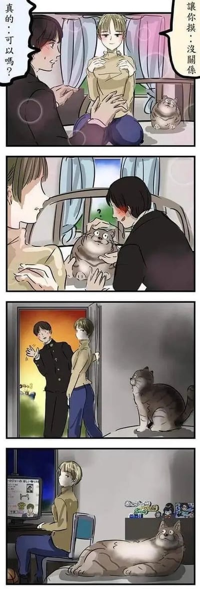 四格连环漫画展现了一场因猫咪引发的温馨误会：
第一格：黑衣男生伸手靠近黄衣男生，黄衣男生双手护胸、脸红心跳地问“真的...可以吗？”，黑衣男生回应“让你摸...没关系”，营造暧昧氛围。
第二格：反转揭晓——黑衣男生实际伸手抚摸黄衣男生腿上趴着的胖猫，两人一同温柔摸猫，黄衣男生羞窘感缓解。
第三格：傍晚时分，两人在门口告别，黑衣男生挥手离开，黄衣男生站在门内，胖猫蹲在一旁注视。
第四格：黄衣男生独自坐在电脑前（屏幕显示猫咪内容），胖猫舒服地趴在桌上，画面治愈。
漫画通过初期误会与后续猫咪互动的反差制造笑点，突出友情与萌宠带来的温暖。