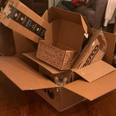 一张展示猫咪躲在一堆快递纸箱中的照片。照片中可以看到多个不同品牌的纸箱，包括Amazon Prime、Costco和Fairyloot，猫咪从其中一个纸箱中探出头来，露出好奇的表情。背景显示这是在一个家庭的客厅里，有沙发和其他家具。
