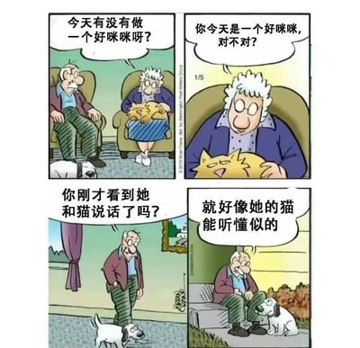 四格漫画描绘了一对老年夫妇与宠物的温馨日常。第一格中老爷爷问老奶奶怀里的猫'今天有没有做一个好咪咪呀?'；第二格老奶奶温柔地对猫说'你今天是一个好咪咪,对不对?'；第三格老爷爷问旁边的狗'你刚才看到她和猫说话了吗?'；第四格老爷爷看着狗无奈地说'就好像她的猫能听懂似的'。漫画通过老人与宠物的互动展现了生活中的小幽默和温情。