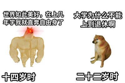 这是一张左右对比的静态梗图，通过两个柴犬形象的反差，展现了人在十四岁和二十二岁时对上学的完全相反的心态。左侧是十四岁时的状态，采用拥有健硕肌肉、眼睛发出红光的柴犬形象，配文“世界如此美好，在上几年学我就直奔自由身了”，充满了对毕业进入社会、获得自由的期待与干劲；右侧是二十二岁时的状态，使用坐着流泪的柴犬形象，配文“大学为什么不能上到退休啊”，体现了刚毕业即将步入社会，感受到社会压力后，反而怀念校园生活、希望能一直留在校园的无奈与感慨，通过强烈的形象和文字反差，精准戳中了当代年轻人从憧憬社会到留恋校园的成长心态变化。