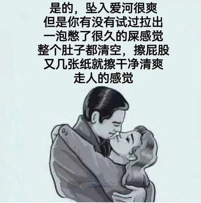 这是一张搞笑的网络迷因图，采用图文混排的形式，上方用直白接地气的文字将坠入爱河的愉悦感，类比成排出憋了很久的宿便后肚子清空、浑身清爽的生理快感，用日常的真实体验消解爱情的浪漫滤镜；下方搭配一张复古黑白风格的情侣拥抱亲吻插画，画面氛围浪漫亲昵，和上方的搞笑文字形成强烈反差，制造出荒诞幽默的效果，整体风格直白搞笑，用生活化的场景调侃情感体验，容易引发网友共鸣。