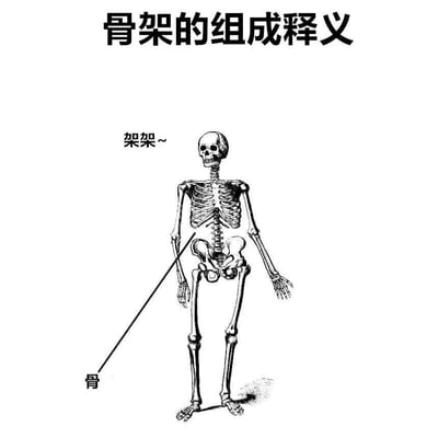 图片为一张黑白线稿风格的人体骨架插图，顶部配有标题“骨架的组成释义”。骨架左侧有一条标注线指向其手臂，标注文字为“骨”；骨架头部右侧则配有“架架~”的可爱化文字。整体通过拆分“骨架”一词为“骨”和“架架”（将“架”重复并添加波浪号营造萌感），形成一种幽默的文字游戏式科普效果，以轻松搞笑的方式“解释”骨架的组成。