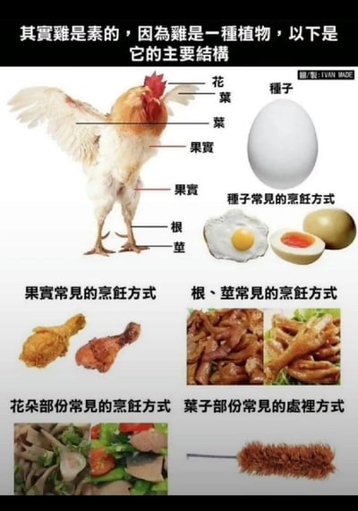 这是一张充满荒诞创意的趣味梗图，开篇以“其实鸡是素的，因为鸡是一种植物”的离谱设定切入，将公鸡的身体部位类比为植物的不同结构进行标注：鸡冠被标注为“花”，颈部羽毛区域标注为“叶”，鸡身与鸡腿标注为“果实”，两只鸡爪分别标注为“根”和“茎”，鸡蛋则被定义为“种子”。随后针对每个“植物部位”，搭配了对应的鸡类食材烹饪或处理方式：“种子”对应煎蛋、咸鸭蛋两种常见蛋料理；“果实”对应炸鸡腿、烤鸡腿两种经典鸡腿做法；“根、茎”对应卤鸡爪、泡椒凤爪两种鸡爪菜品；“花朵部份”对应凉拌鸡杂等鸡胗类菜肴；“叶子部份”则玩梗式地配上鸡毛掸子，形成强烈的反差搞笑效果。整张图用错位类比的方式，调侃鸡肉不同部位的多样吃法，创意十足，充满趣味性。