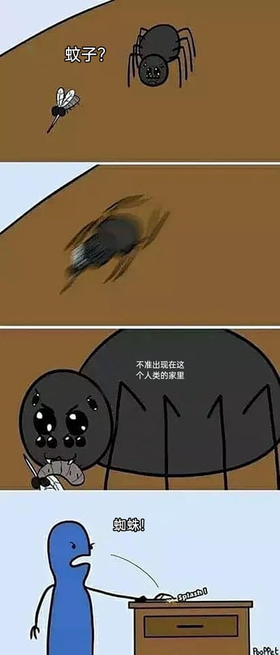 这是一则四格连环卡通漫画，以拟人化的动物和人类角色展开剧情：第一格中，一只小蜘蛛看到进入人类家中的蚊子，疑惑地发出“蚊子？”的疑问；第二格中，小蜘蛛迅速扑向蚊子将其拍死；第三格中，小蜘蛛愤怒地叼着蚊子尸体，警告道“不准出现在这个人类的家里”，它以为自己在帮人类清理会吸血的蚊子；第四格中，蓝色的人类角色看到蜘蛛后，厌恶地大喊“蜘蛛！”，随即用物品将蜘蛛拍死，发出“Splash!”的声响。漫画通过这种反差强烈的剧情，制造出讽刺的搞笑效果，讽刺了人类对蜘蛛的刻板厌恶，以及蜘蛛好心办坏事的悲剧性，引发读者对人类对待不同害虫的双标态度的思考。