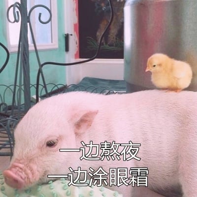 图片中一只粉色的小猪趴在地上，背上站着一只黄色的小鸡。背景可见绿色墙壁、窗户及金属架等家庭环境元素。图片中央叠加文字'一边熬夜 一边涂眼霜'，幽默地描绘了人们一边保持不良生活习惯（熬夜），一边又采取补救措施（涂眼霜）的矛盾行为。