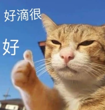 一只橘色狸花猫在蓝色天空背景下，表情淡定，左眼微眯，右眼半睁，前爪自然抬起，形似人类竖大拇指的姿势。图片左侧叠加白色文字'好滴很'（上方）和'好'（下方），整体构图简洁，色彩鲜明，通过猫咪的神态和文字结合，传递出轻松、肯定的语气，常用于表达对某事的认可或满意。