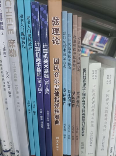 这张图片展示了图书馆或书店书架上整齐排列的各类书籍，涵盖多个学科领域。主要可见的书籍包括音乐理论类的《弦理论 国风音乐吉他指弹独奏曲》，计算机艺术类的《计算机美术基础(第2版)》，书法类的《欧阳询楷书技法指南》，教育理论类的《现代教育理论》，以及艺术类的《经典艺术丛书》等。背景中可以看到更多书架和书籍，营造出浓厚的学习和文化氛围。