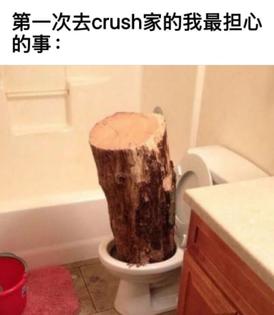 图片上方配有文字“第一次去crush家的我最担心的事：”，下方是一张浴室场景照片。照片中，一个粗壮的树桩被直接放置在白色马桶的 bowl 里，周围有浴缸、红色水桶和粉色地垫等物品。整体通过夸张的“树桩堵马桶”这一荒诞场景，幽默地表达了第一次去心仪对象家时担心遇到各种尴尬、不寻常状况的紧张心情。
