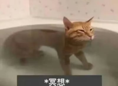 这张图是一只橘猫站在浴缸的水里，表情非常沉稳甚至有点呆滞，仿佛陷入了深度思考。画面下方配有“*冥想*”的字幕，极具幽默感和对比感，因为猫咪通常惧怕水，但这只猫却像人类一样安静沉思，让人会心一笑。图片的氛围带有一种“心如止水”“面对人生难题”的内味，常被网友用来表达迷茫、发呆或突然陷入自省时的心态。双关/暗示：‘冥想’一词本身具有玩梗成分，把宠物行为和人类精神状态巧妙结合。