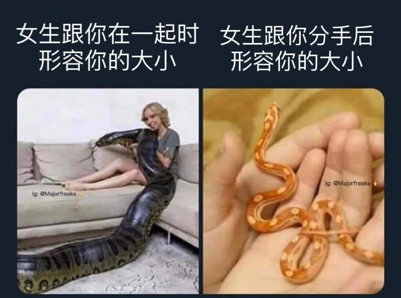 金发女子