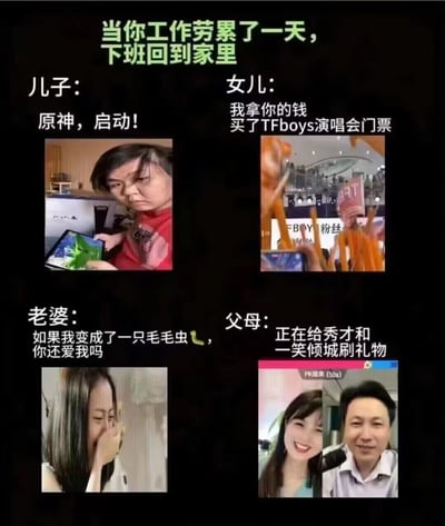 这是一张多图拼接的图文类梗图，以“打工人劳累一天下班回家”为场景背景，通过四个板块分别呈现了当代中年打工人可能面对的家庭状况：儿子沉迷《原神》游戏、女儿私自拿自己的钱购买TFBOYS演唱会门票、老婆问出“变成毛毛虫是否还爱”的趣味提问、父母沉迷给抖音主播秀才和一笑倾城刷礼物，用夸张且贴近现实的网络热梗，调侃了中年打工人在家庭中面临的无奈与压力，引发同类群体的共鸣。