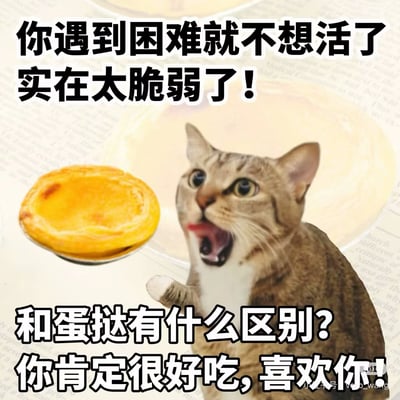 这是一张表情包图片，把一只张嘴尖叫的猫和蛋挞结合，配文“你遇到困难就不想活了，实在太脆弱了！”和“和蛋挞有什么区别？你肯定很好吃，喜欢你！”用来讽刺生活中遇到挫折就表现得很脆弱的人，并用‘蛋挞’进行谐音和幽默性对比。

包含谐音梗：‘脆弱’和‘蛋挞’都暗示着容易碎裂，且有‘喜欢你’舌尖调侃味。