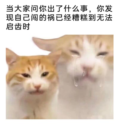这是一张趣味表情包，上方配有文字“当大家问你出了什么事，你发现自己闯的祸已经糟糕到无法启齿时”，下方是两只橘白相间的猫咪：左侧猫咪表情委屈，嘴角下撇，眼睛半睁，呈现出欲言又止的模样；右侧猫咪是放大模糊的效果，脸上挂着大滴的泪水，呈现出崩溃大哭的状态。整张图通过猫咪的表情对比和夸张的流泪特效，生动地还原了人们在闯下大祸，面对他人询问时，因为事情太过糟糕难以开口，内心充满愧疚、崩溃又无助的情绪，非常贴合生活中遇到社死、闯祸场景时的心境，适合在社交平台用来表达这类情绪。
