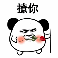 熊猫头叼玫瑰撩你表情包