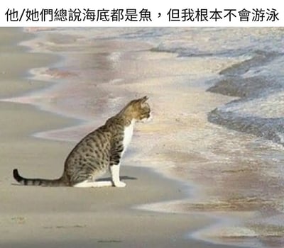 这张梗图是一只猫咪坐在沙滩上，望向大海的画面。画面顶部配文：“他/她們總說海底都是魚，但我根本不會游泳”。台词充满幽默感，以猫无法游泳自嘲，同时表达了“明知好东西（鱼）在前但苦于能力、条件受限无法获得”的无奈与自嘲。常用于形容有诱惑但无能为力或技术受限的尴尬处境。

此梗有双关与暗示含义，既是猫想吃鱼但不会游泳的字面意思，也常用来自嘲“看到机会/资源却无力争取”。