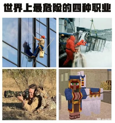 这张图是四格拼接的图文类梗图，顶部配有黑色加粗的标题文字“世界上最危险的四种职业”。四幅图分别对应四种被调侃的高危职业：第一格为现实中的高空外墙清洁工人，悬吊在高层建筑外侧进行玻璃清洁作业，存在高空坠落的高风险；第二格为海上捕蟹作业人员，在风浪巨大的海面操控捕蟹笼，面临坠海、被恶劣海况威胁的风险；第三格为野生动物摄影师，趴在野外草地上用长焦相机拍摄时，身旁紧挨着一只猎豹，存在被野生动物袭击的风险；第四格为游戏《我的世界》中的虚拟角色流浪商人，在该游戏设定中流浪商人往往会随机生成在各类危险场景，极易被敌对生物或玩家击杀，创作者将其作为虚拟的“第四种高危职业”放入图中，和前三种现实高危职业形成反差，制造幽默笑点。