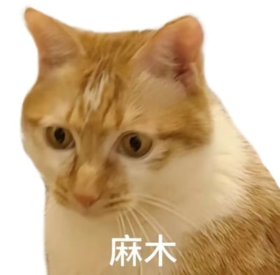 一张橘白相间猫咪的特写照片，猫咪表情平静，眼神略显呆滞，下方配有“麻木”二字，形成一种幽默的反差效果。