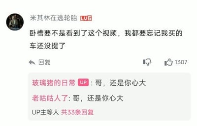 这是一张哔哩哔哩视频评论区的截图，等级为LV6的用户“米其林在逃轮胎”发布评论，称自己要不是看到这个相关视频，都忘记自己已经买车但还没去提车；该原评论获得1307个赞，视频UP主“玻璃猪的日常”和另一位用户“老咕咕人了”都回复感叹“哥，还是你心大”，该评论下方一共有33条其他回复，内容充满喜剧效果，展现了用户心态宽松心大的有趣日常。
