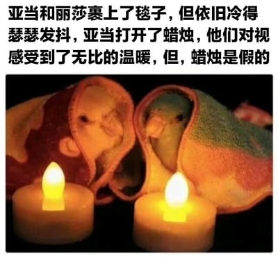 图片上方配有文字讲述亚当和丽莎裹着毯子仍冷得瑟瑟发抖，亚当打开蜡烛后他们对视感到温暖，但蜡烛是假的故事。画面中两只小动物（可能是仓鼠或豚鼠）裹在彩色毯子里，前方有两根点燃的蜡烛，营造出温馨氛围，然而蜡烛实为假的LED蜡烛，形成温暖感知与现实的反差，带来幽默效果。