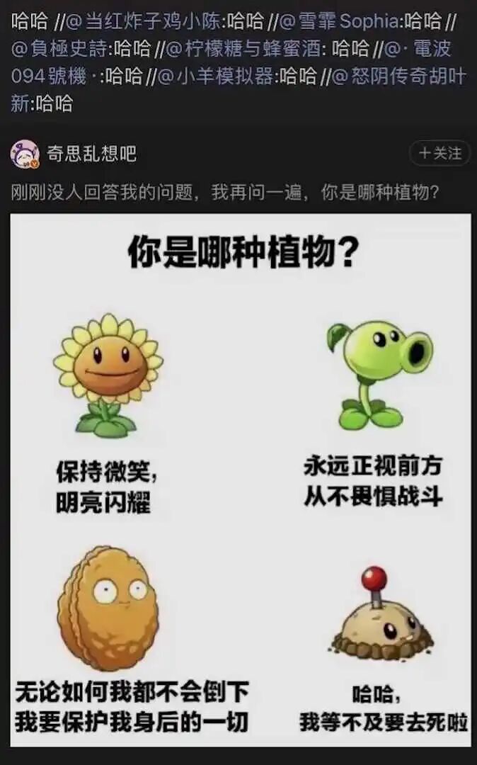 土豆地雷