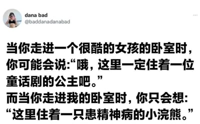 这是一张社交媒体截图，显示用户“dana bad”（@baddanadanabad）发布的一条幽默内容。内容通过对比“走进很酷的女孩的卧室”和“走进我的卧室”的不同感受，前者被形容为“住着童话剧的公主”，后者则自嘲为“住着一只患精神病的小浣熊”，以夸张的自我调侃营造搞笑效果。图片上方有用户头像、用户名及账号 handle，下方为主要文字内容，整体风格轻松诙谐。