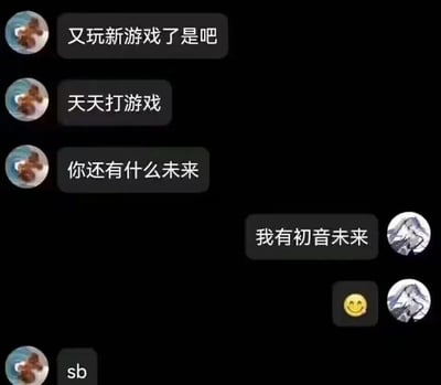 这是一张聊天记录截图梗图，左侧用户指责对方天天玩游戏，质问对方“你还有什么未来”，右侧用户利用“未来”的双关含义，将人生的未来替换为虚拟歌手初音未来进行回复，随后左侧用户爆粗口。
双关说明：这里的“未来”一语双关，既指人生的前途未来，也指虚拟歌手初音未来，通过这种错位的回复制造搞笑反差效果。