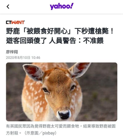 这是一张Yahoo新闻页面的截图，来自CTWANT新闻。标题为“野鹿「被喂食好开心」下秒遭枪毙！游客回头傻了 人员警告：不准喂”，作者廖梓翔，发布时间2020年8月10日10:46。图片中部是一张野鹿的特写照片，标注为“示意图/pixbay”，内容讲述英国民众因喂食野鹿导致其被园方射杀的事件。