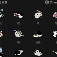 条纹黑白猫