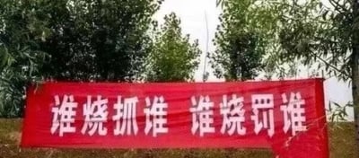 图片中展示了一条红色横幅，上面用白色加粗字体写着标语“谁烧抓谁 谁烧罚谁”。横幅悬挂在户外环境中，背景是多棵茂密的绿色树木，整体场景给人一种严肃的警示氛围，推测与禁止焚烧、消防安全等宣传主题相关。