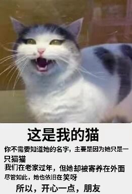 这是一张顶配底文的图文混排竖屏单图，上方是一只灰白花色的猫咪，其表情经过P图改编，嘴巴大张、眼睛半眯，呈现出搞怪滑稽的大笑模样；下方配有一段暖心文案，文案以作者的口吻介绍这只猫咪，说明过年时猫咪被寄养在外却依旧保持开心，借此鼓励看到图片的朋友也要保持开心。整体内容温暖治愈，用搞笑的猫咪形象搭配积极的文字，传递出乐观的生活态度，适合作为表情包或暖心内容在网络传播。