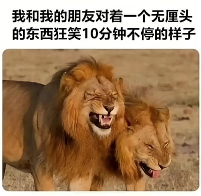 图片上方配有文字“我和我的朋友对着一个无厘头的东西狂笑10分钟不停的样子”，下方是两只狮子的照片。两只狮子表情夸张，嘴巴大张露出牙齿，鬃毛蓬松，姿态看起来像是在开怀大笑，生动地呼应了文字内容，通过将狮子拟人化，幽默展现了朋友间因小事爆笑不止的欢乐场景。