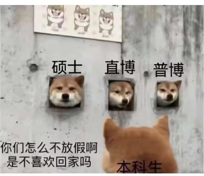 这是一张改编自柴犬卡墙洞梗图的搞笑表情包，画面中下方是背对着镜头的「本科生」柴犬，上方墙洞里分别是标注为「硕士」「直博」「普博」的三只柴犬，它们的表情都显得疲惫又生无可恋。本科生柴犬配文问道：「你们怎么不放假啊 是不喜欢回家吗」，用拟人化的方式调侃了硕博阶段学业繁忙、假期稀少的现状，生动展现了不同学历阶段的生活状态差异。