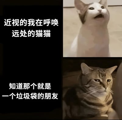 图片采用左右对比的多图拼接形式，左侧为两行文字‘近视的我在呼唤远处的猫猫’和‘知道那个就是一个垃圾的朋友’，右侧上下分布两张猫咪照片。上方猫咪仰头张嘴，眼神似乎在回应呼唤；下方猫咪则是条纹毛色，表情淡定地注视前方。整体通过文字与猫咪表情的配合，幽默展现了近视者将远处垃圾袋误认成猫咪，而视力正常的朋友早已看穿真相的搞笑场景。