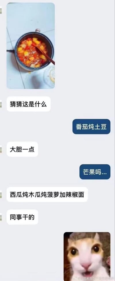 这是一张聊天记录截图，左侧用户首先发出一张装着红黄相间块状食物的锅的照片，让对方猜测食物是什么；右侧用户先猜是番茄炖土豆，左侧用户提示要更大胆猜测，右侧用户又猜测是芒果，最后左侧用户揭晓答案是西瓜炖木瓜炖菠萝加辣椒面，还补充说明这是同事做的，最后右侧用户发出一张瞪大眼睛、满脸错愕震惊的猫咪表情包作为回应，整体内容幽默荒诞，突出了这款黑暗料理的离谱程度。